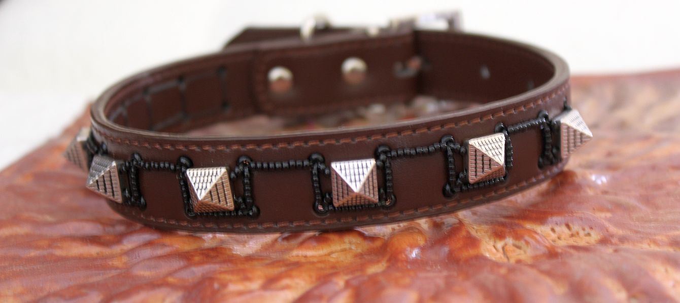 Spike - Dog Collar